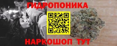 стаф Сланцы
