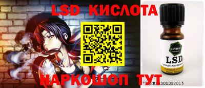 стаф Сланцы
