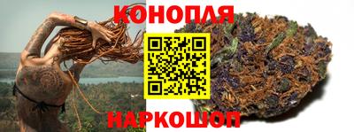 стаф Сланцы
